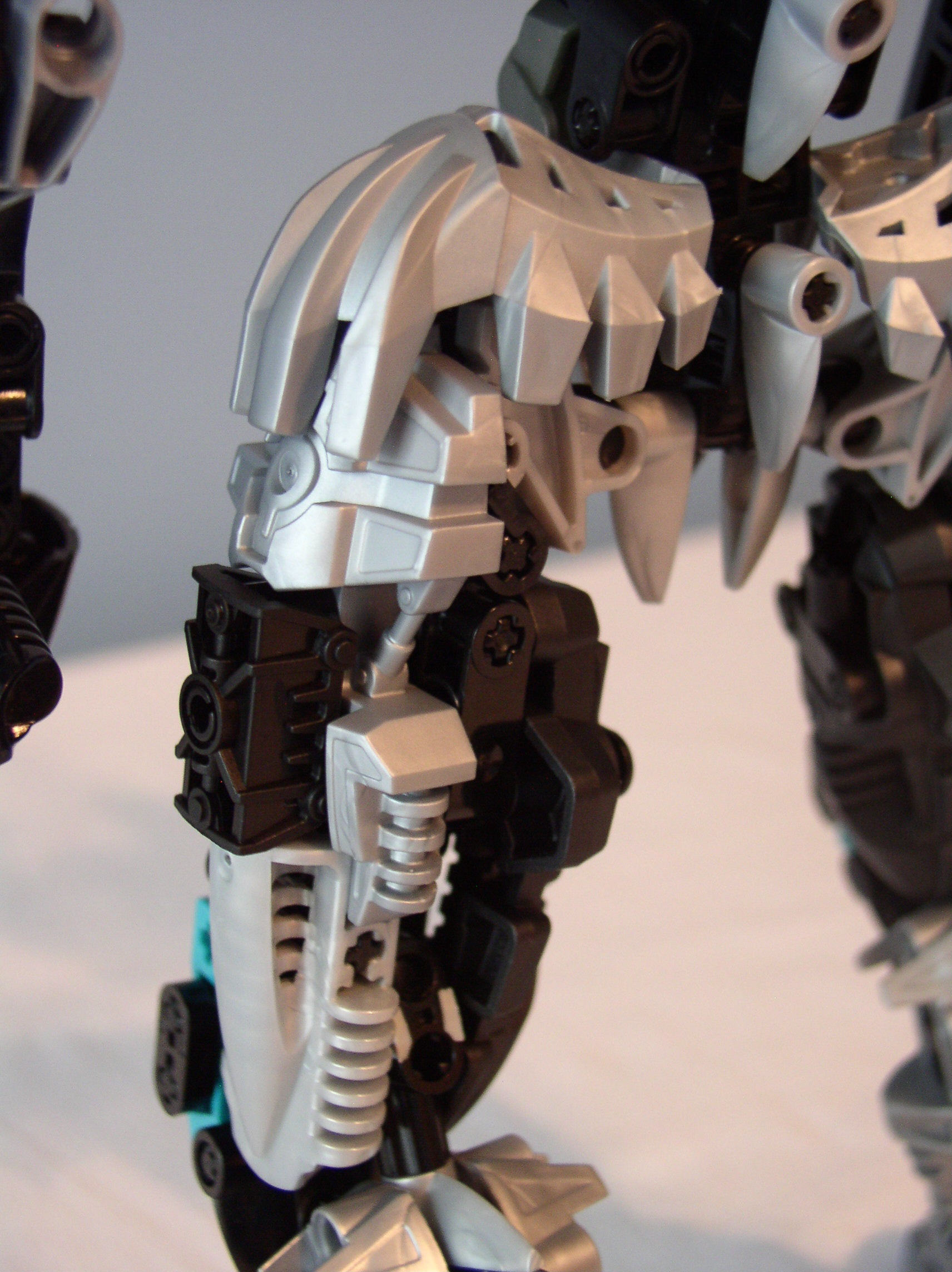 detail_legs2.jpg