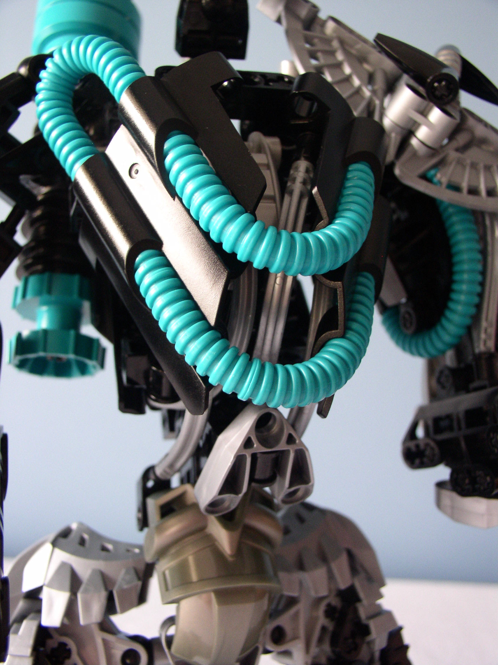 detail_torso1.jpg