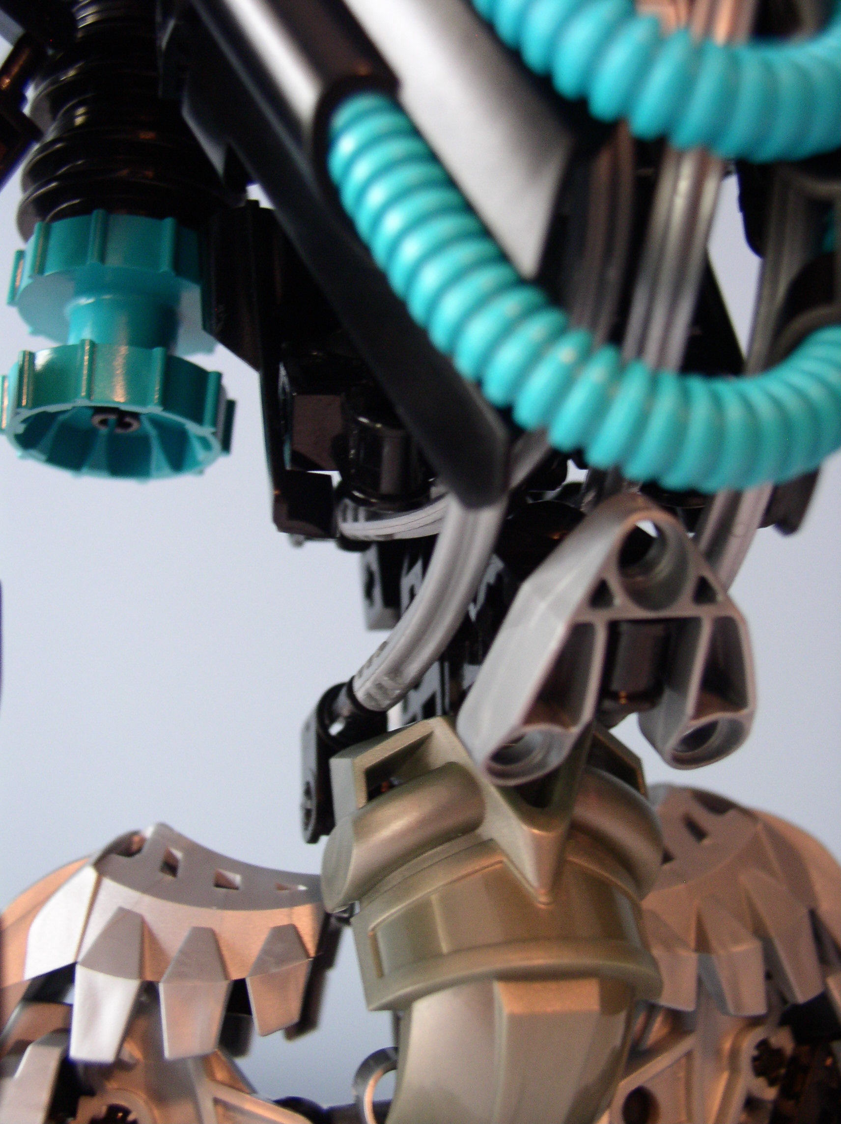 detail_torso3.jpg