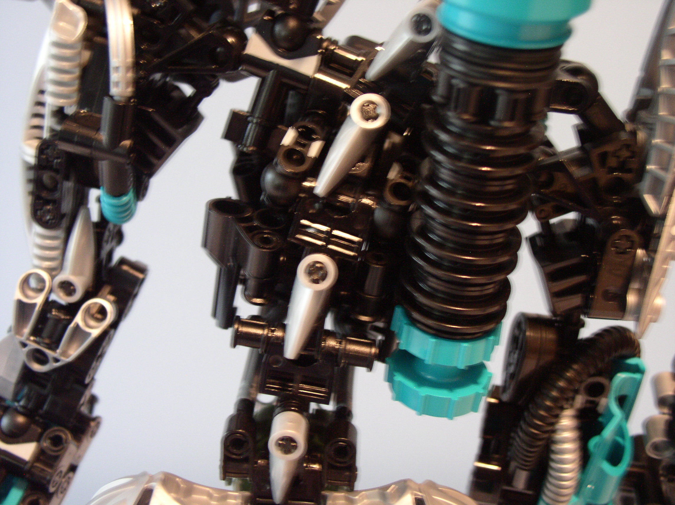 function_spine1.jpg