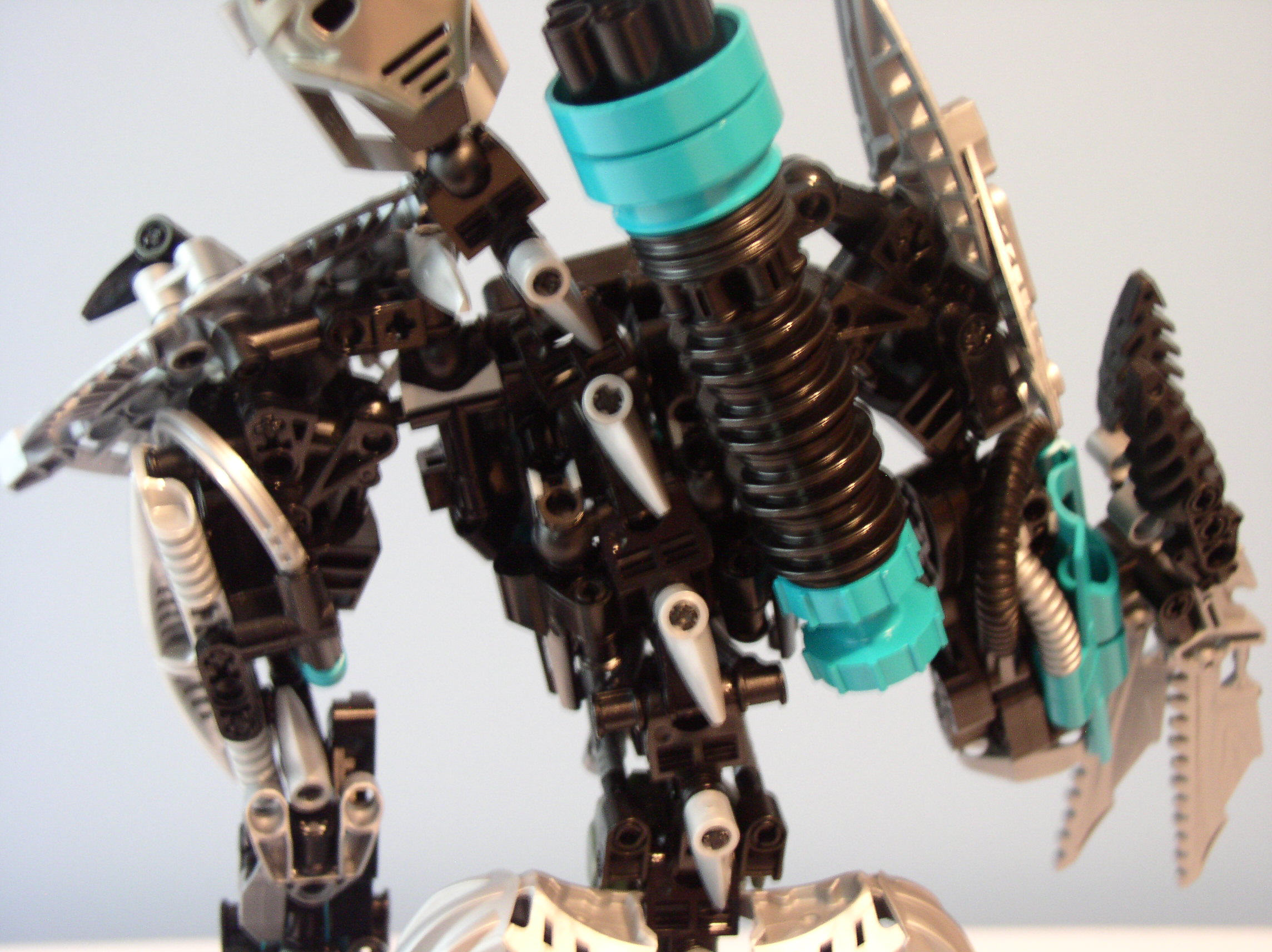 function_spine2.jpg