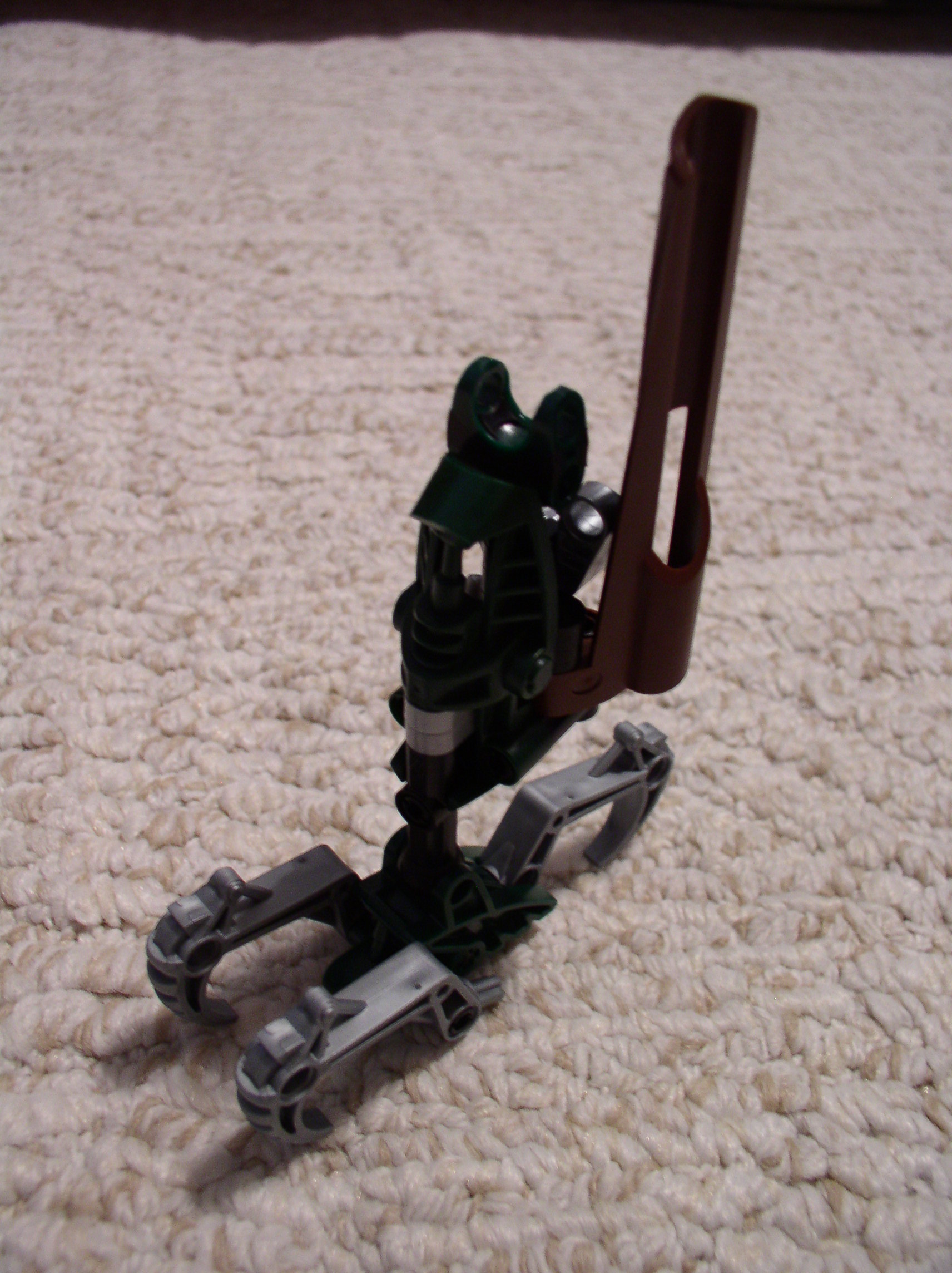 hawk_leg1.jpg
