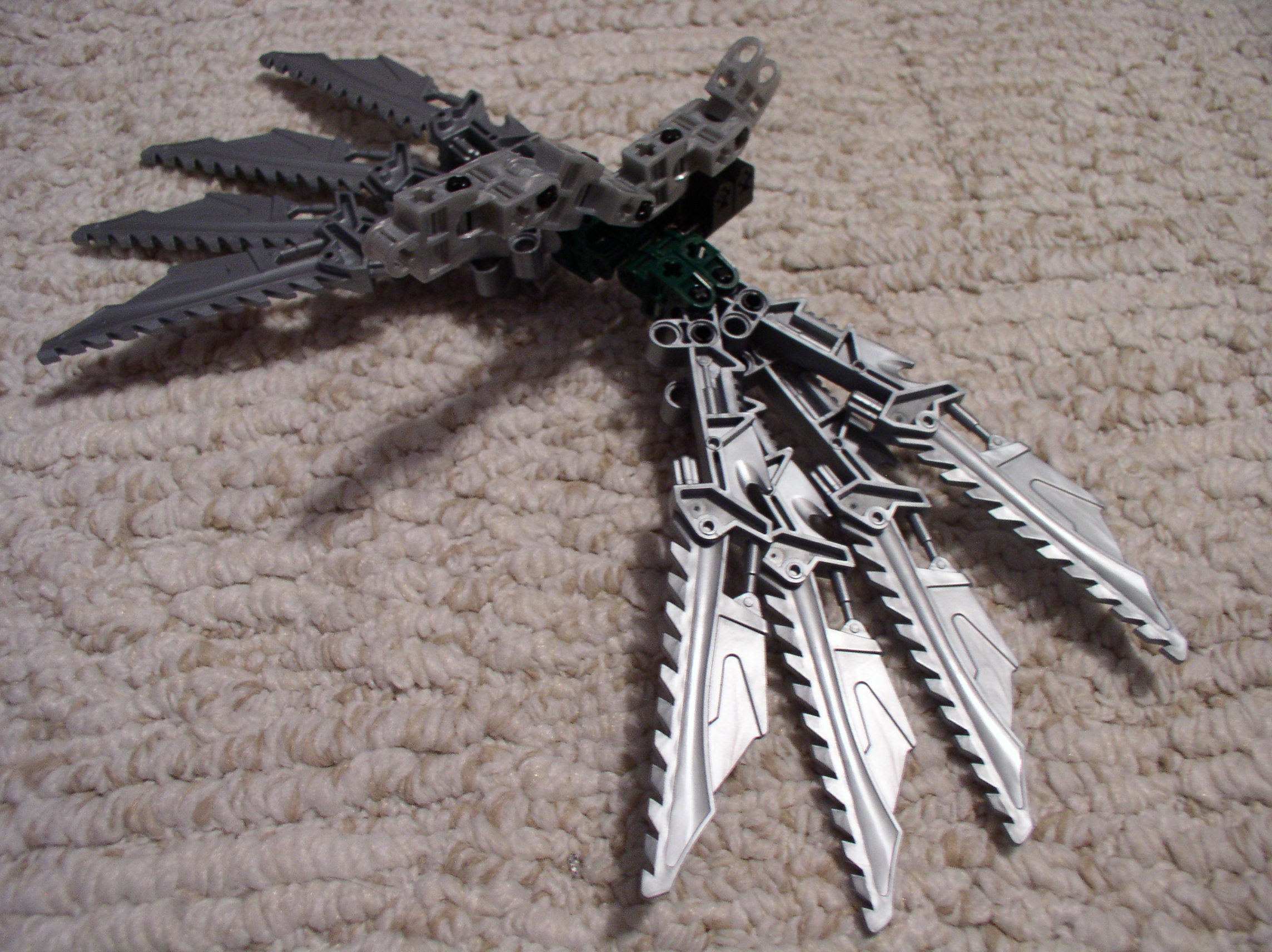 hawk_wings1.jpg