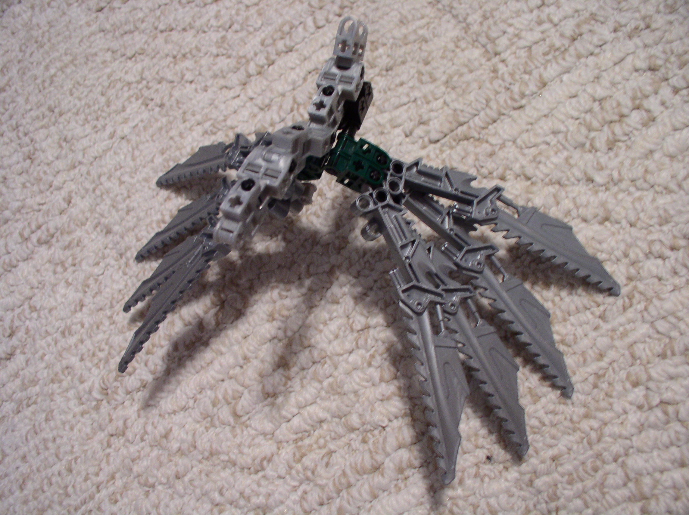 hawk_wings2.jpg