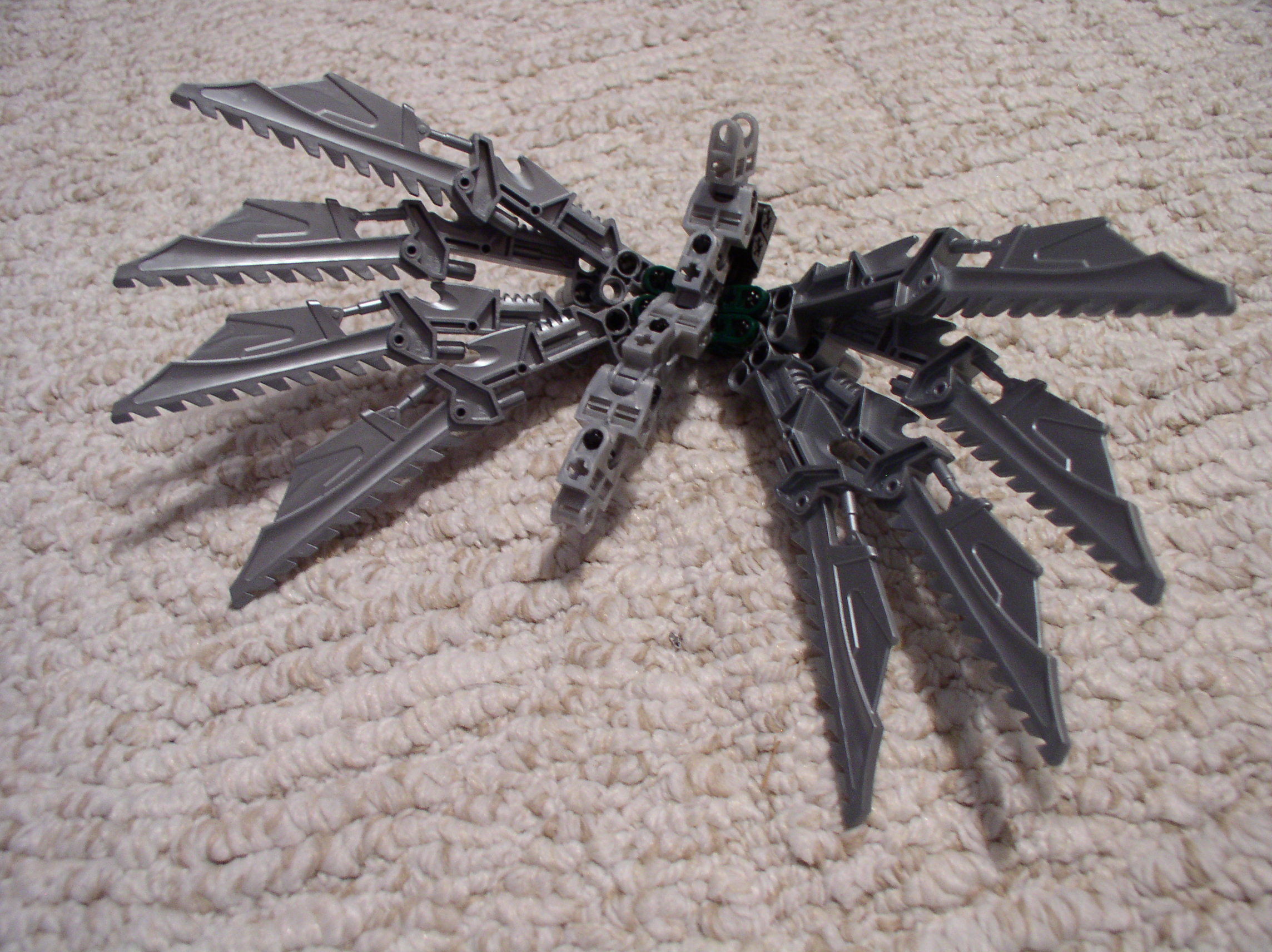 hawk_wings3.jpg