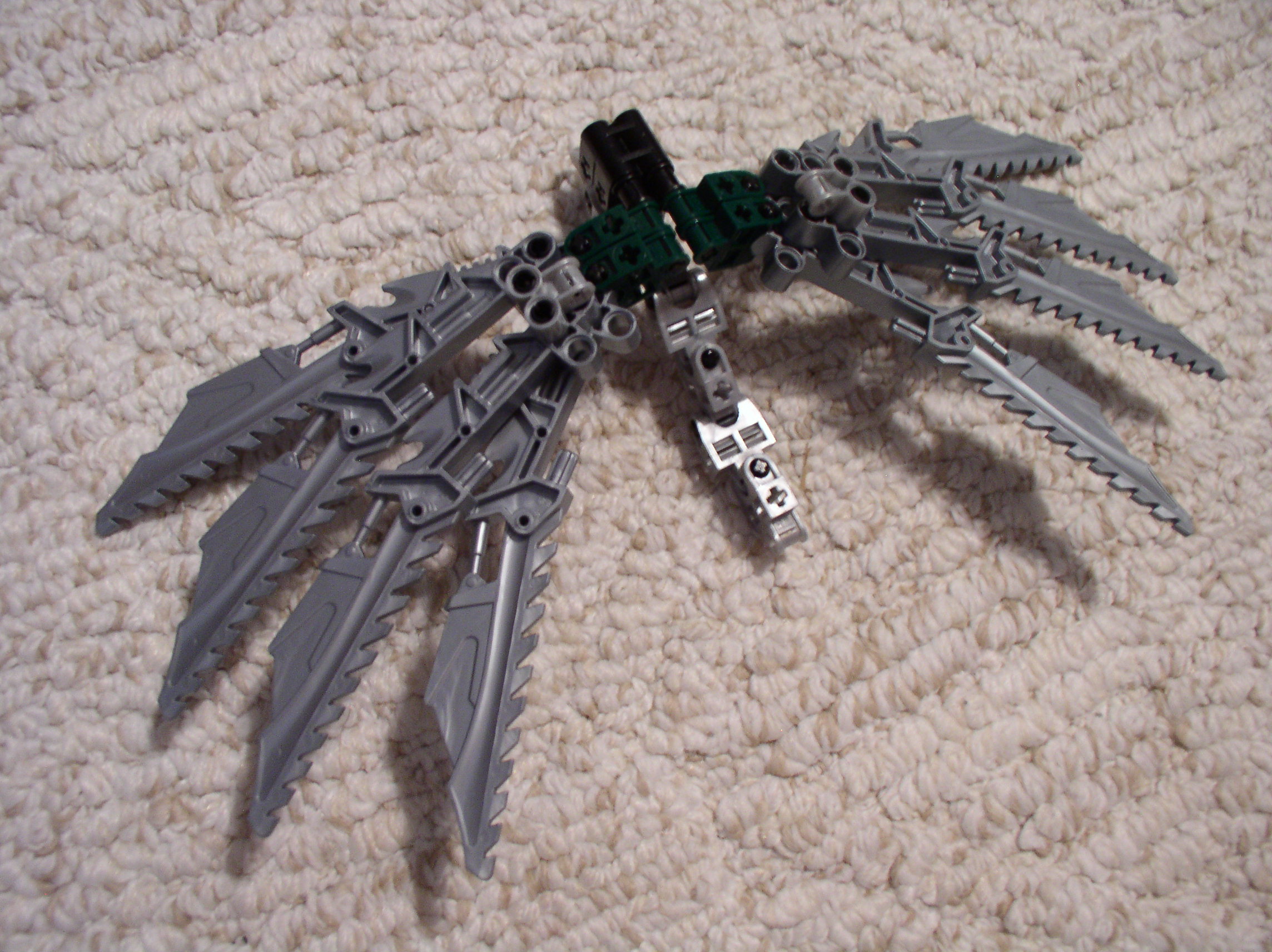 hawk_wings4.jpg