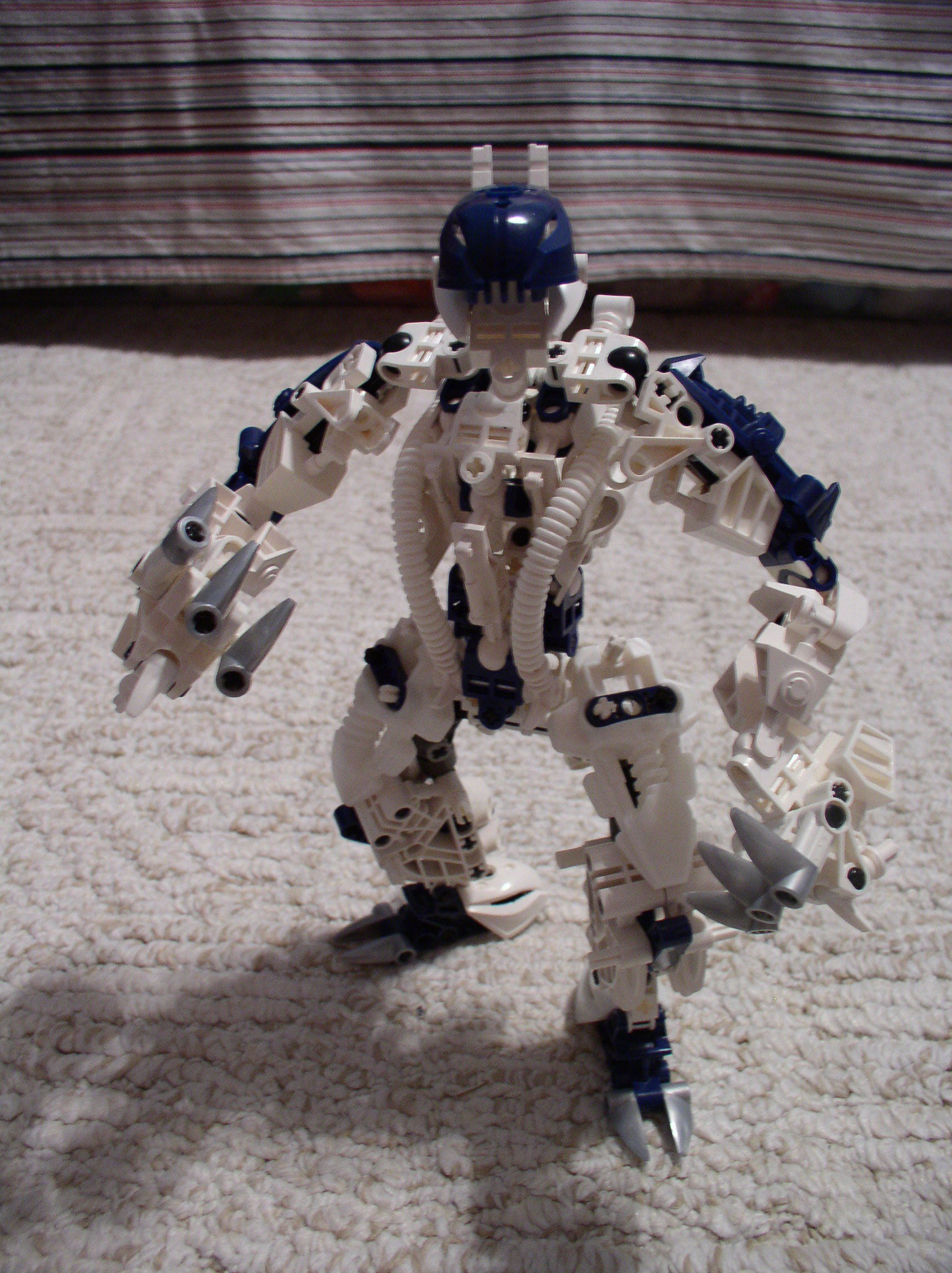 polarbear_1.jpg