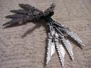 hawk_wings1.jpg