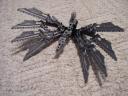 hawk_wings3.jpg