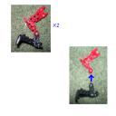 leg_instructions.png