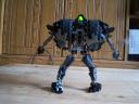 trans-onua_v1_006.jpg