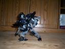 trans-onua_v1_007.jpg