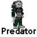 predator1.jpg