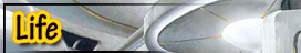 life.png