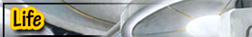 life1.png