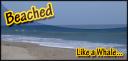 beached.png