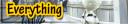 everything.png
