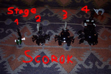 scorok.jpg