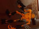 Toa-Physics