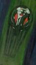 brotherhood_of_makuta_symbol.jpg
