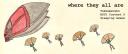 parachute_banner.jpg