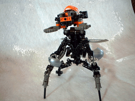 10.gif