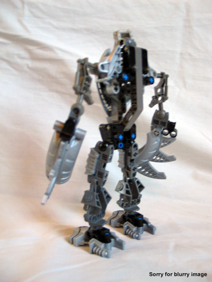 shallowscat5.jpg