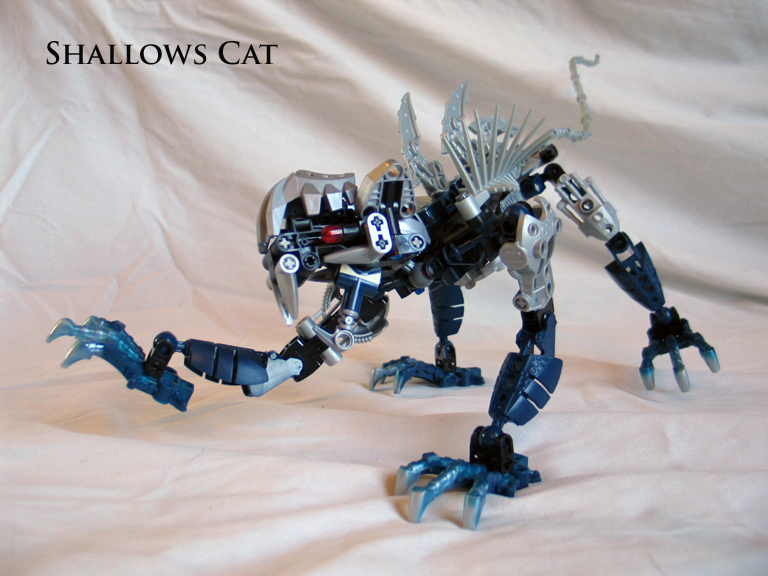shallowscat91.jpg