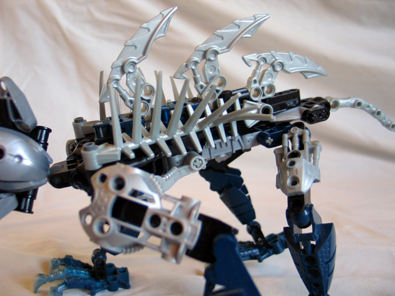shallowscat97.jpg