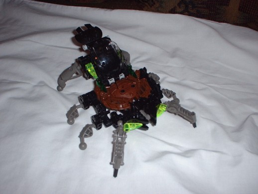 arachnoid1.jpg
