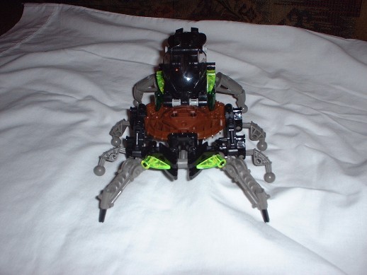 arachnoid2.jpg
