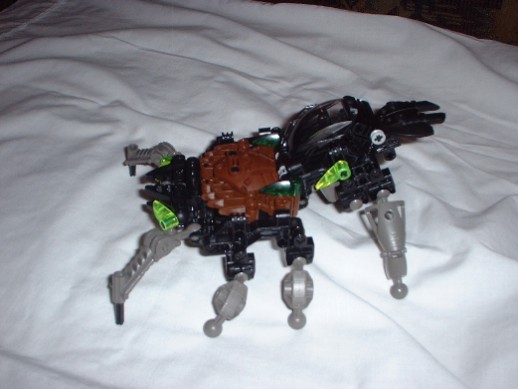 arachnoid3.jpg