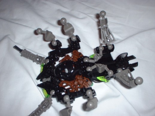 arachnoid5.jpg