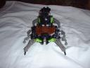 arachnoid2.jpg