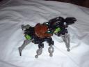 arachnoid3.jpg