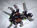 arachnoid5.jpg
