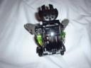 waterbeetle2.jpg