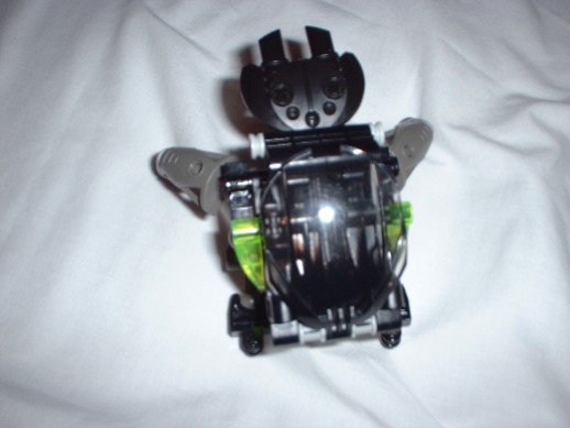 waterbeetle2.jpg