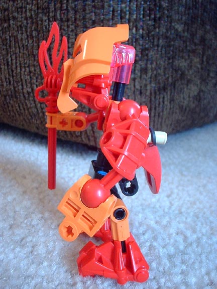 molvakama1.jpg