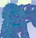 diskproof.jpg