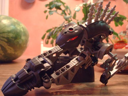 vorahkpose5.jpg
