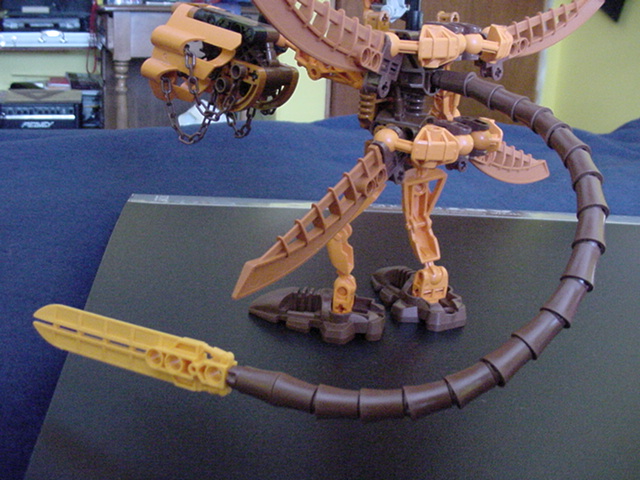 toa_het-_tail.jpg