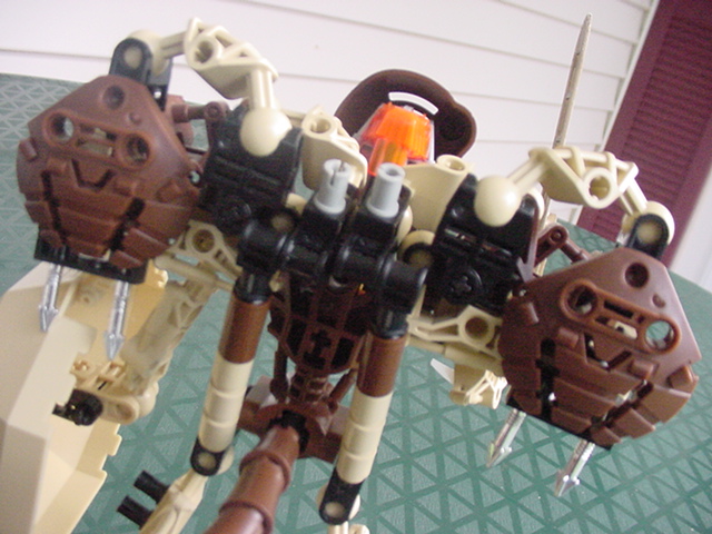 toa_po-_back_closeup.jpg