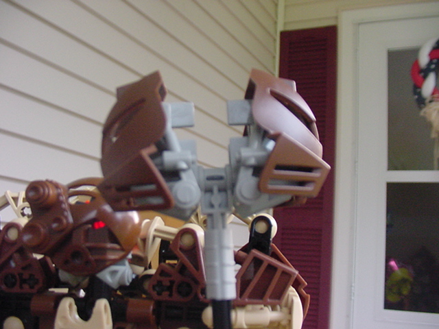 toa_po-_staff_head.jpg