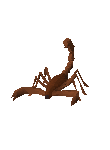 scorpion.gif