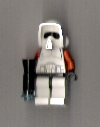 cody.jpg