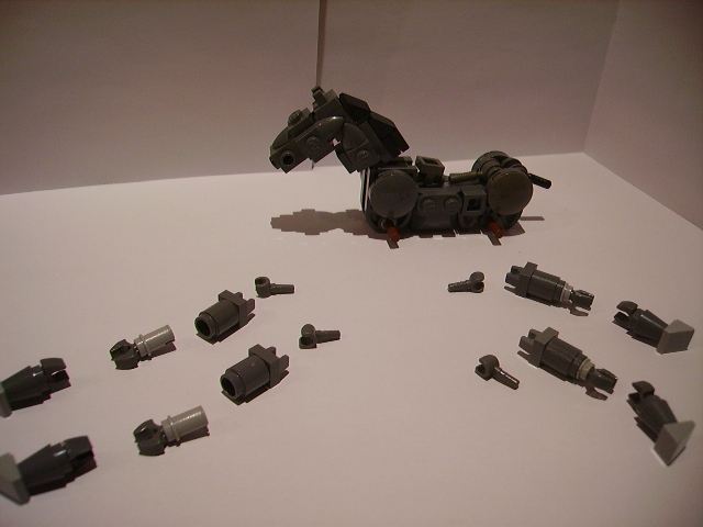 imgp3781.jpg