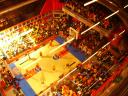 zwolleshowpics