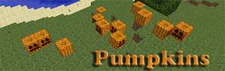 pumpkins.png