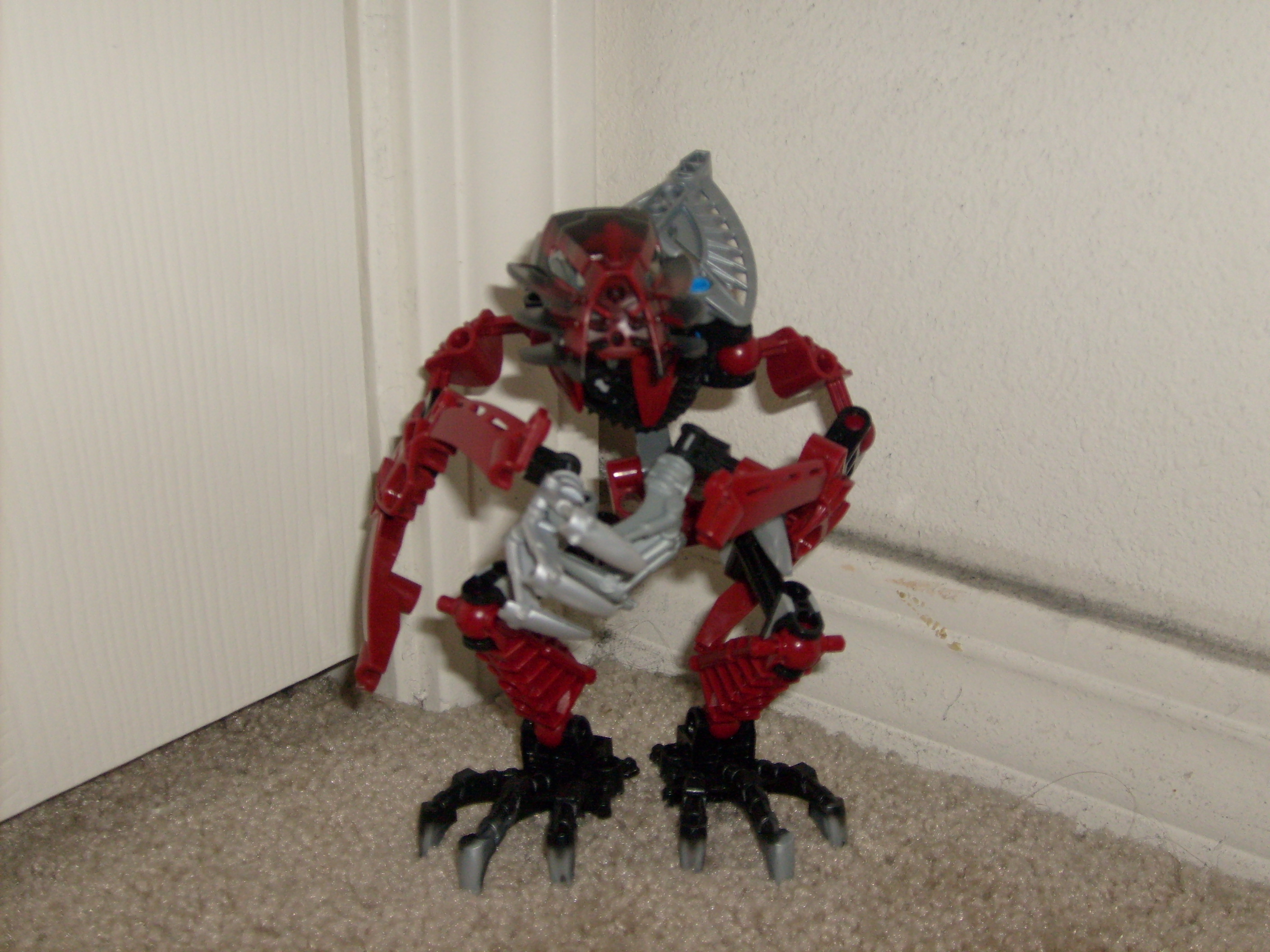 s6301773.jpg